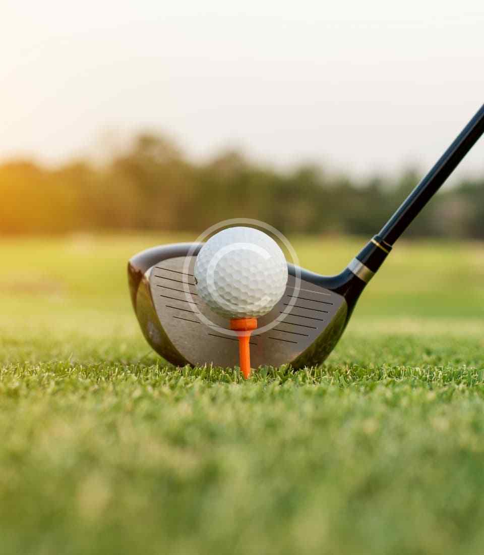 Professional Instructors